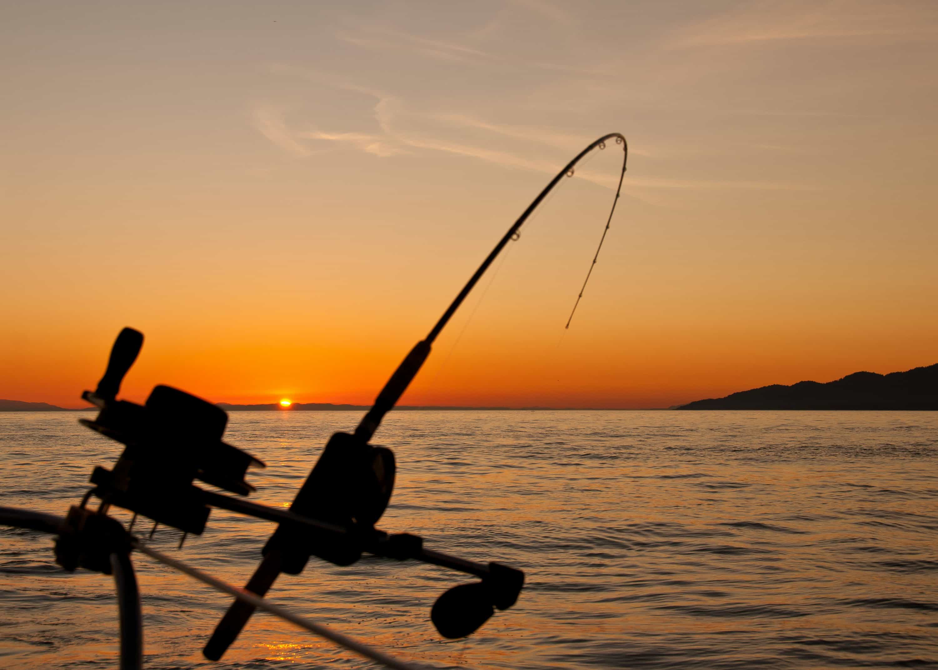 Fishing Adventure